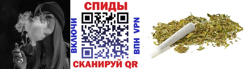 где найти   Темников  ссылка на мегу вход  Бутират BDO 33% 