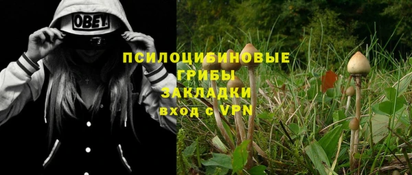 ПСИЛОЦИБИНОВЫЕ ГРИБЫ Абинск