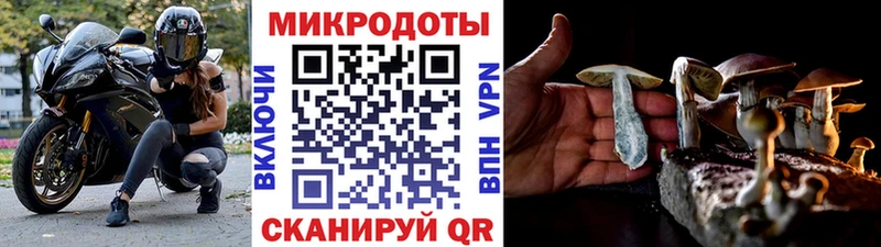 Галлюциногенные грибы Psilocybe  blacksprut рабочий сайт  Темников 